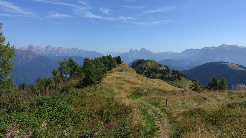 2017-08-30_120545 trentino-suedtirol-2017.jpg - Trodo dei fiori - Bergwanderweg am Passo Brocon                               